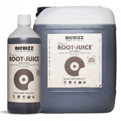 Root-Juice