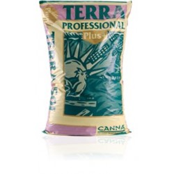 Terra Professional Plus